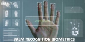 Palm Recognition Biometrics